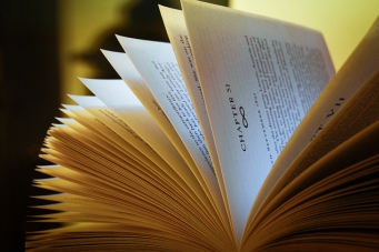 English - Honeysuckle